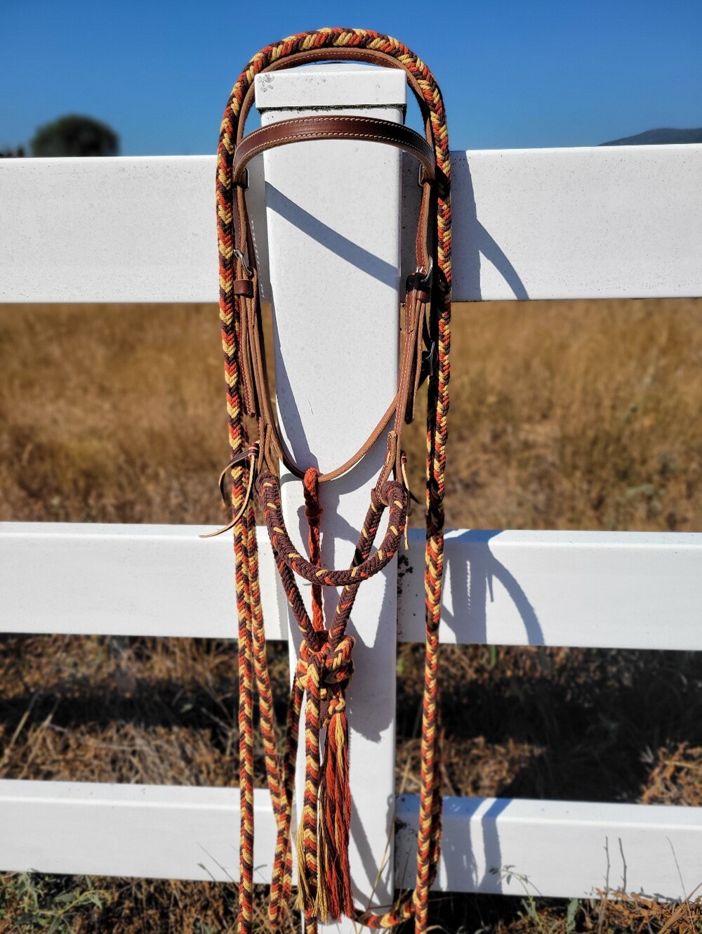 Loping Hackamore - Picture 4 of 8